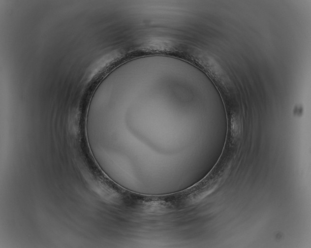 X0000091580396200708201212