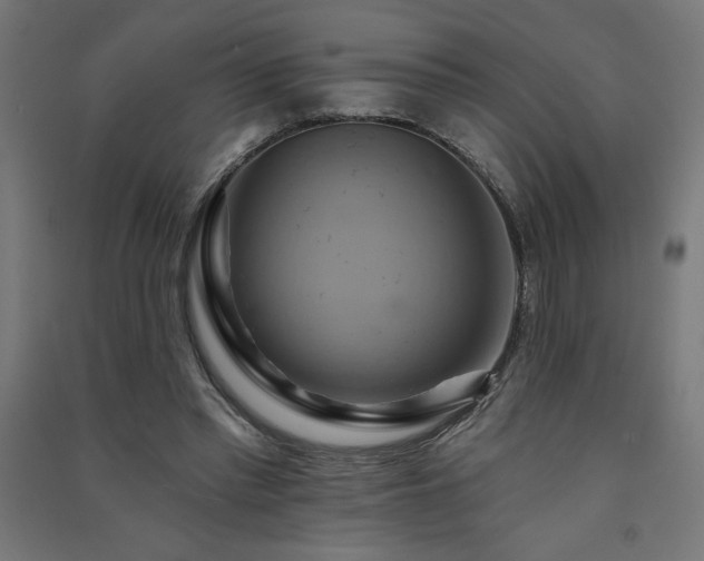 X0000091580397200708201212