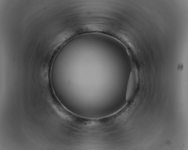X0000091580398200708201212
