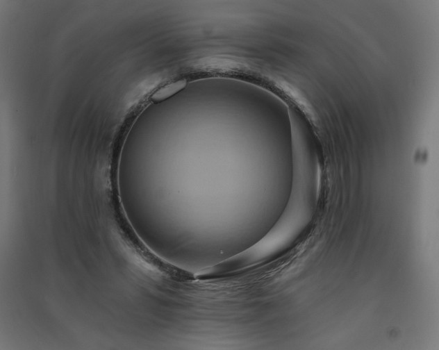 X0000091580399200708201212