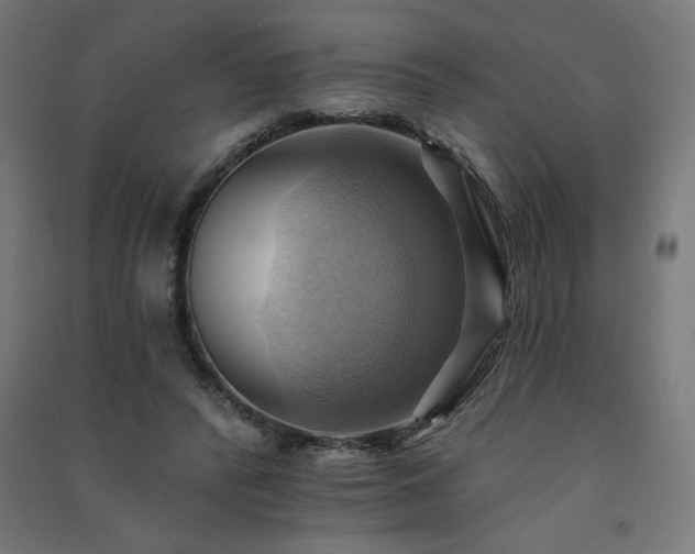 X0000091580400200708201212