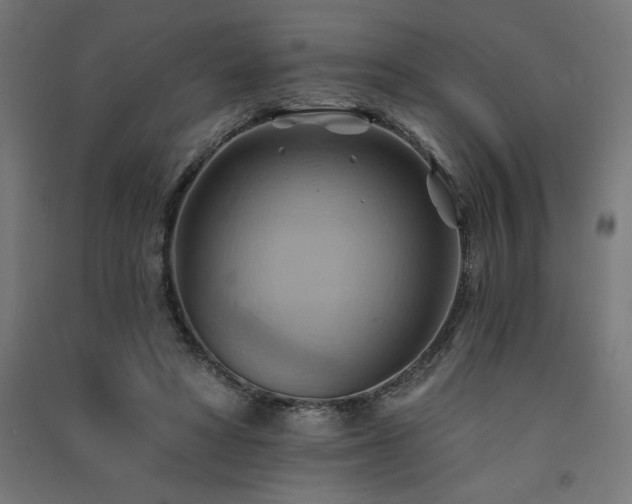 X0000091580402200708201212
