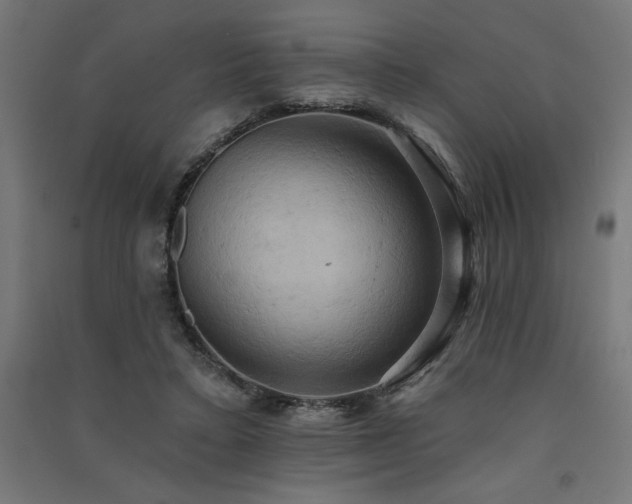 X0000091580403200708201212