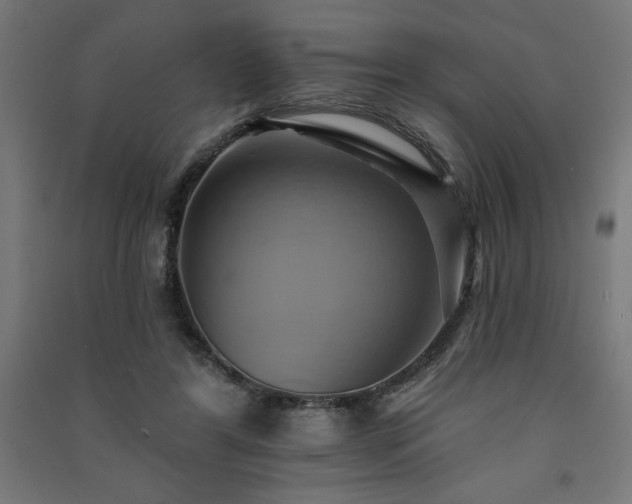 X0000091580404200708201212