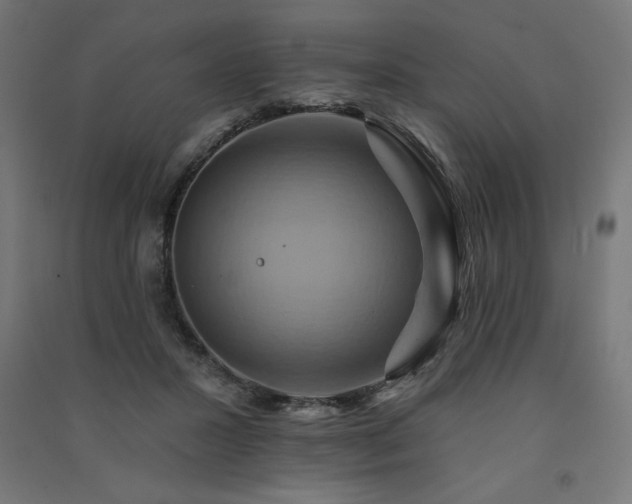 X0000091580407200708201212
