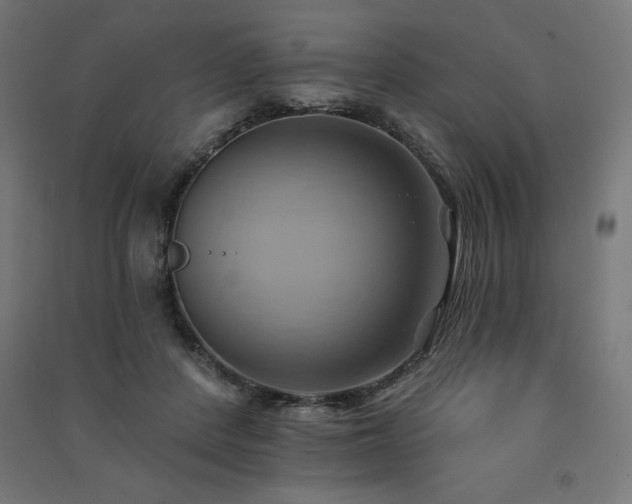 X0000091580408200708201212