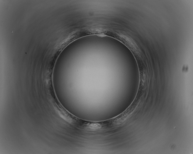 X0000091580409200708201212