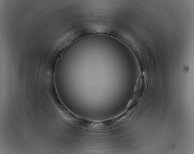 X0000091580410200708201212