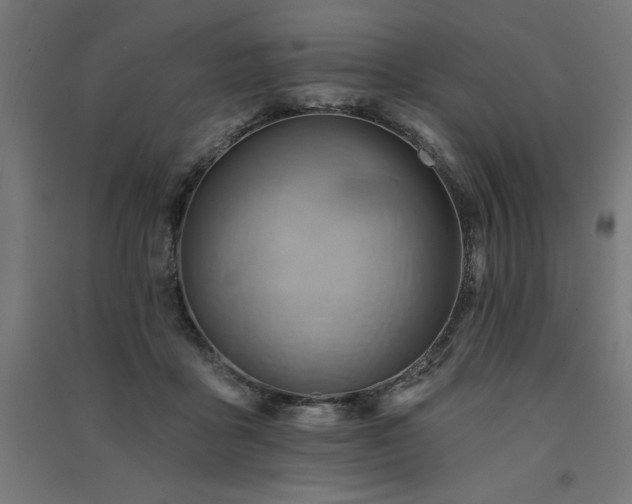X0000091580411200708201212