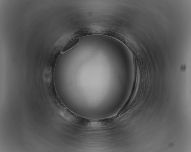 X0000091580413200708201212