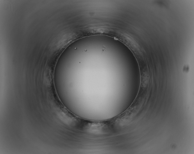 X0000091580414200708201212
