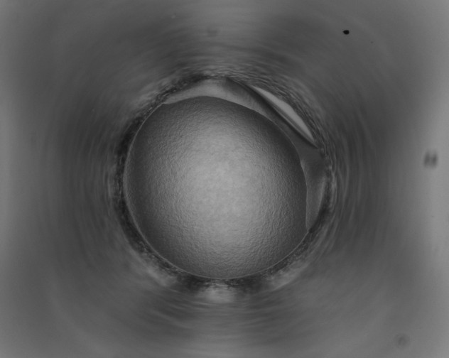 X0000091580416200708201212