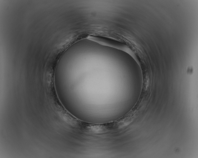 X0000091580417200708201212