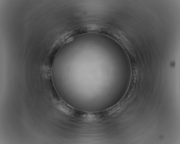 X0000091580419200708201212