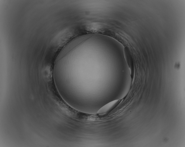 X0000091580420200708201212