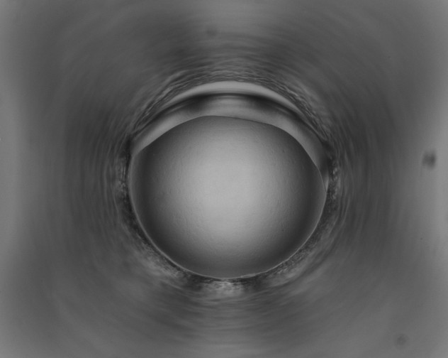 X0000091580421200708201212