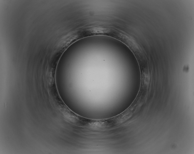 X0000091580422200708201212