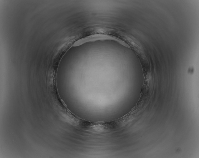 X0000091580423200708201212