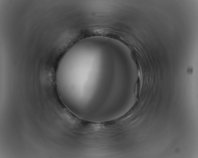 X0000091580424200708201212