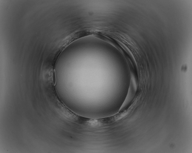 X0000091580425200708201212