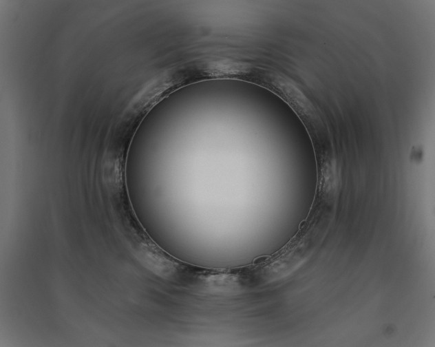 X0000091580426200708201212