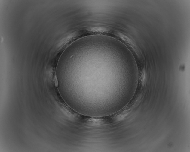 X0000091580428200708201212