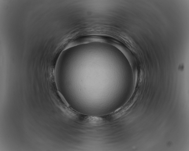 X0000091580429200708201212