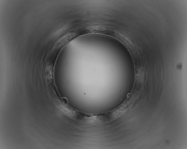 X0000091580430200708201212