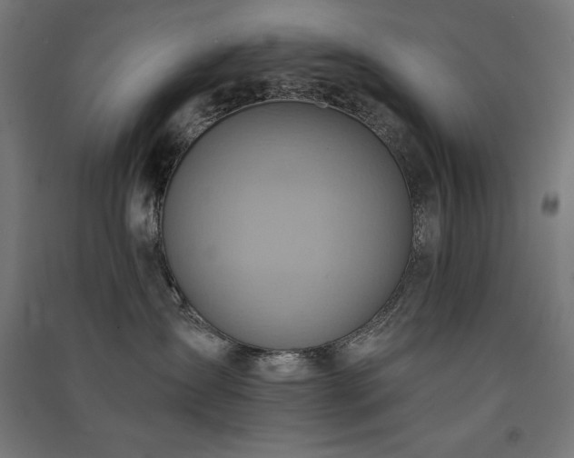 X0000091580431200708201212