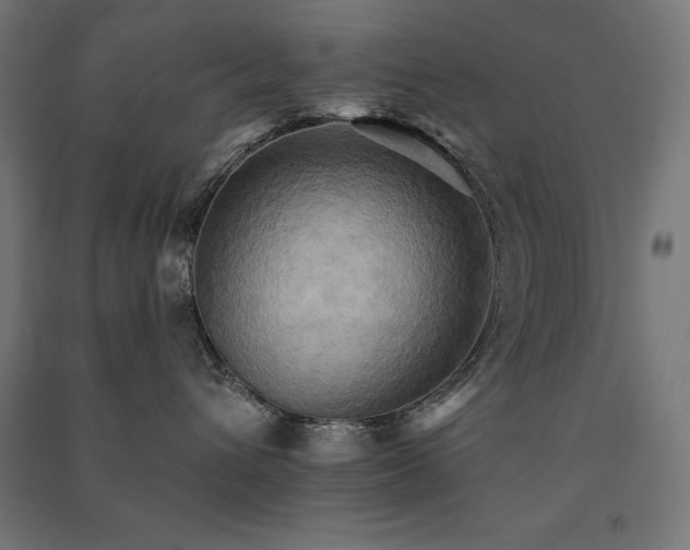 X0000091580432200708201212