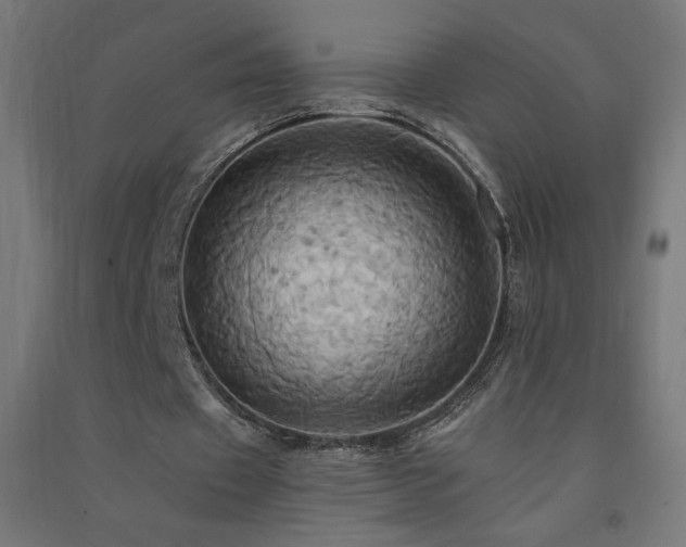 X0000091580433200708201211