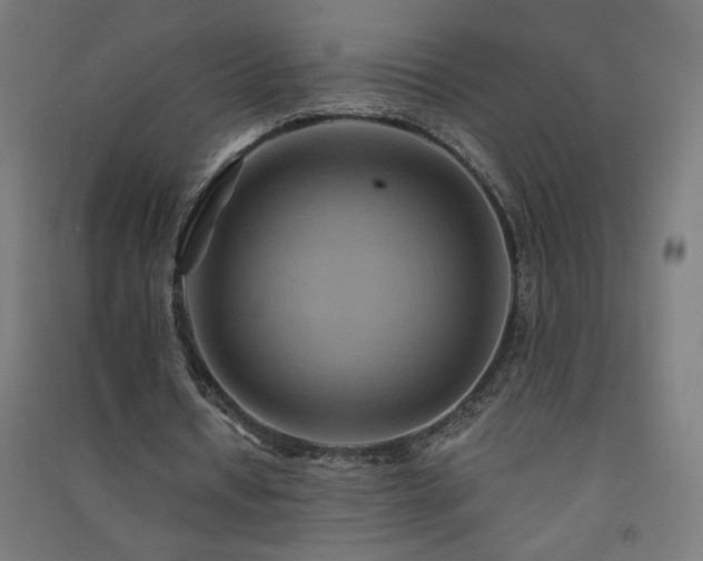 X0000091580434200708201211