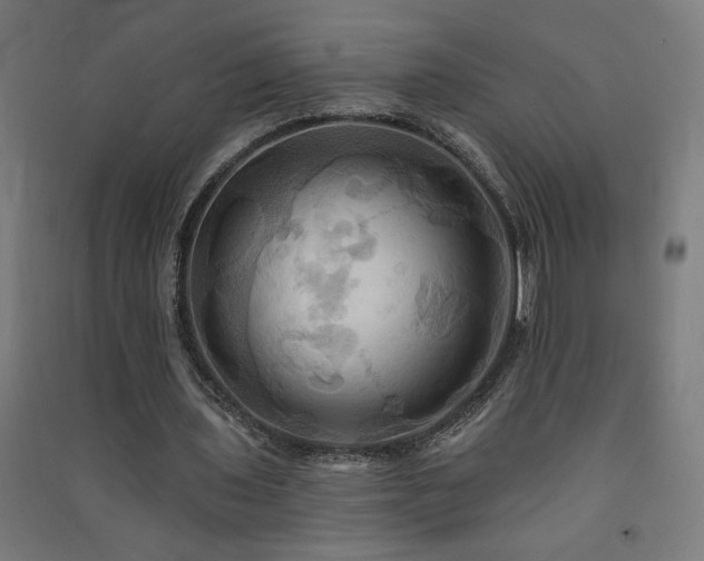 X0000091580435200708201211