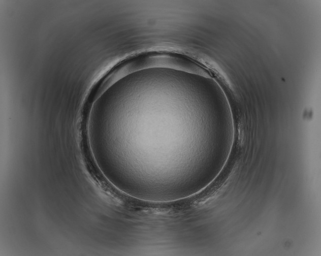 X0000091580436200708201211