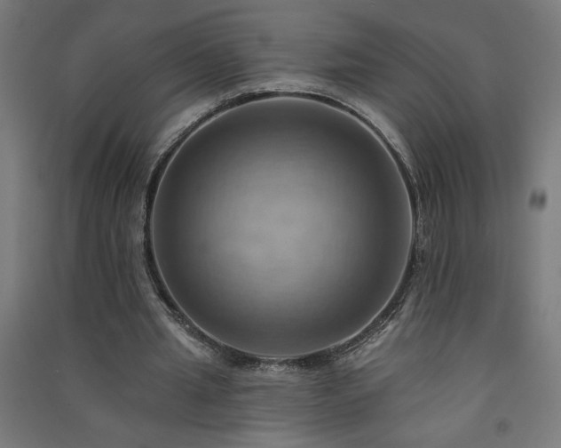 X0000091580437200708201211