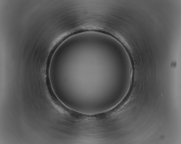 X0000091580438200708201211