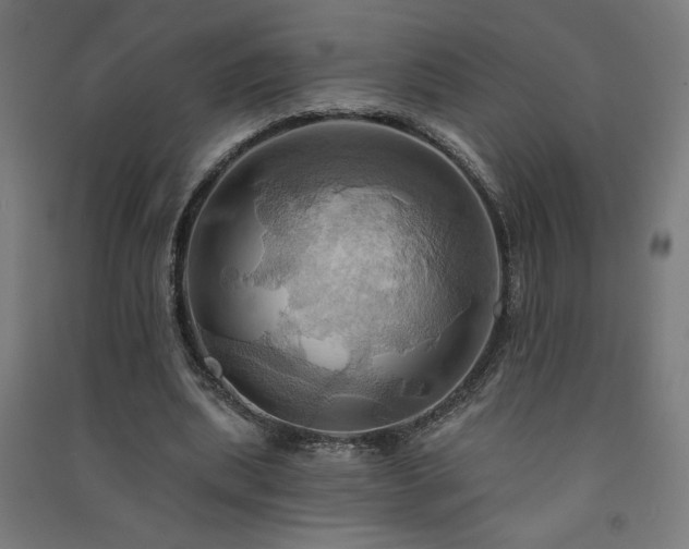 X0000091580439200708201211