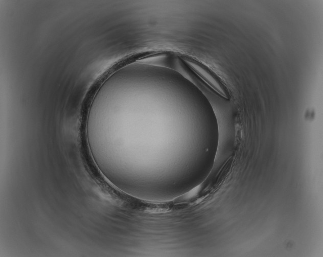 X0000091580440200708201211