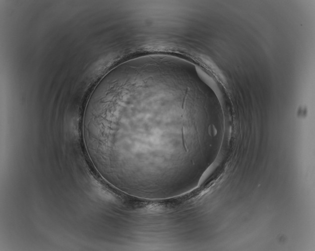 X0000091580441200708201211