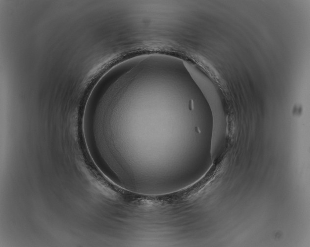 X0000091580442200708201211