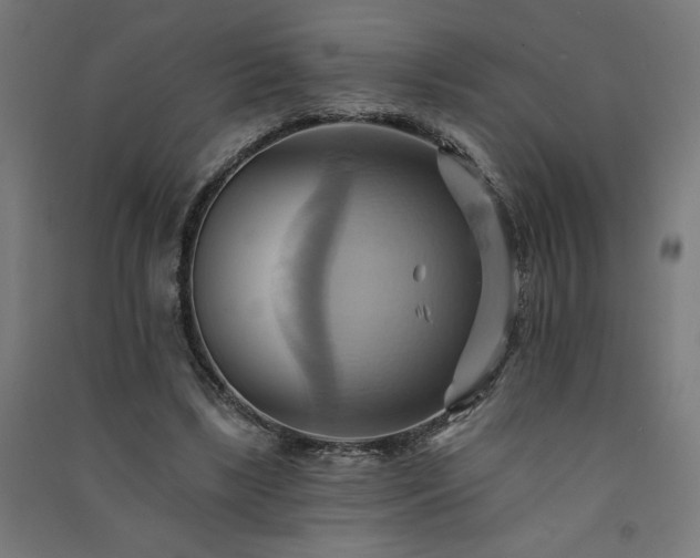 X0000091580443200708201211