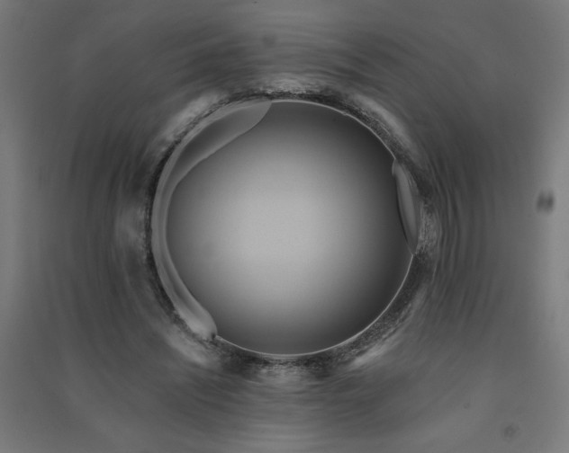 X0000091580444200708201211