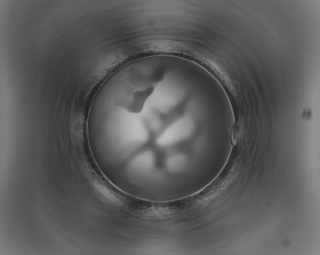 X0000091580445200708201211