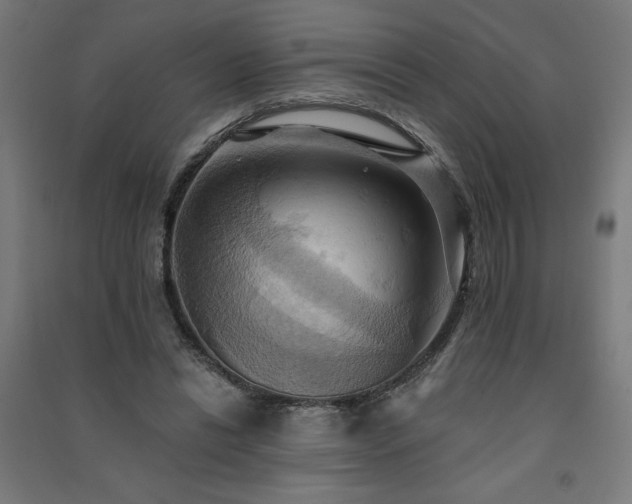 X0000091580446200708201211