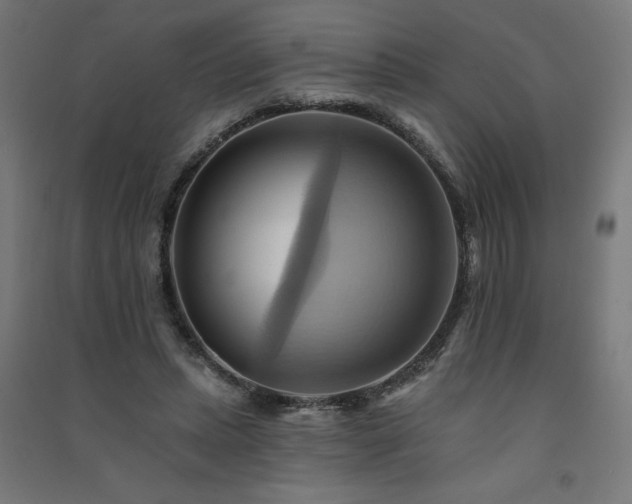 X0000091580447200708201211
