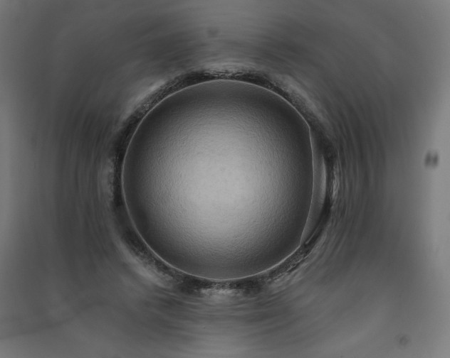 X0000091580448200708201211