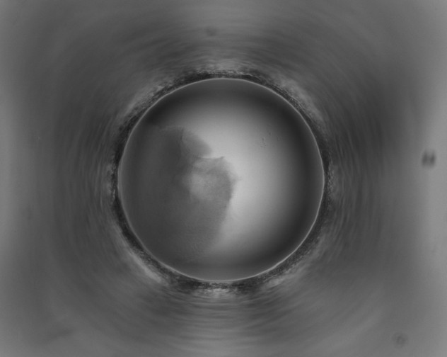 X0000091580449200708201211