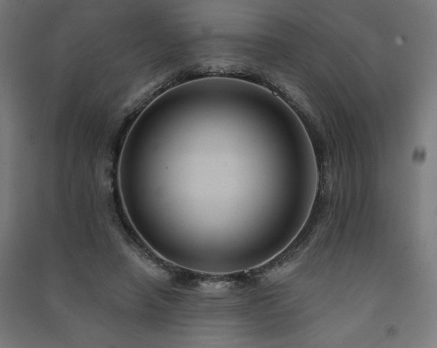 X0000091580450200708201211