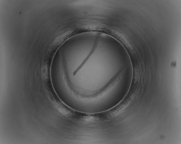 X0000091580453200708201211