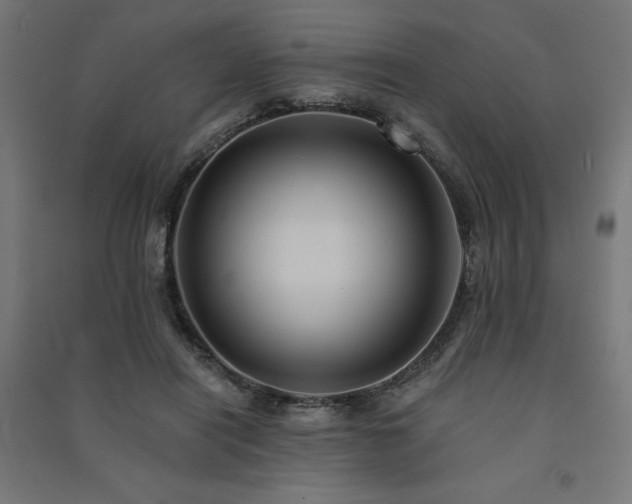 X0000091580454200708201211
